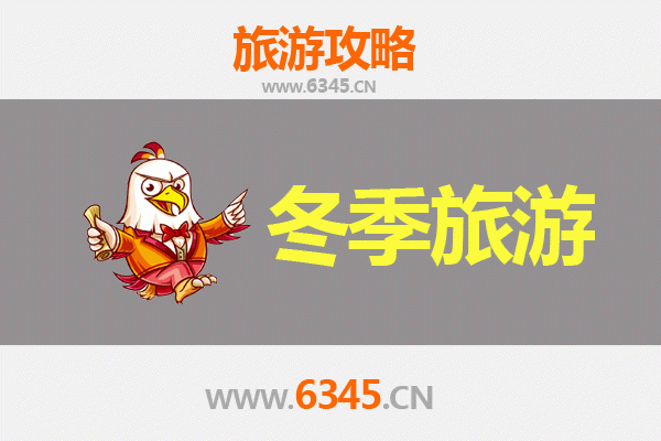 中山小榄镇冬季旅游全攻略：菊韵飘香，暖冬寻味之旅