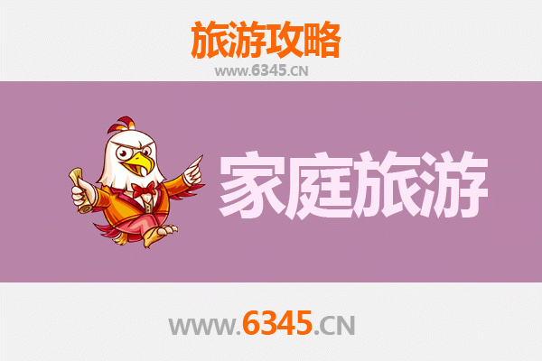 中山小榄镇家庭旅游全攻略：菊花文化与亲子乐趣之旅